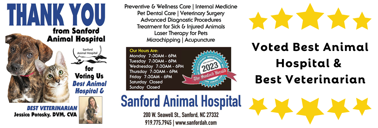 Sanford veterinary hospital