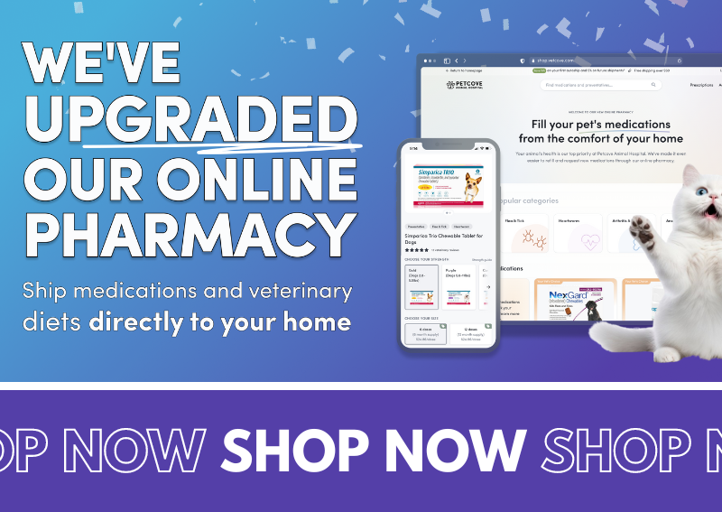 Carousel Slide 1: Shop our new and improved online pharmacy